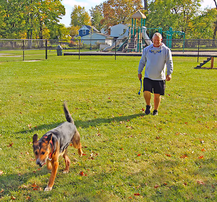 Dog Park at Memorial Park